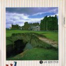 대지골프 이미지