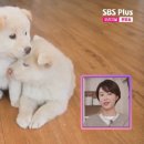 뭔가 바뀐거같은 황정음 가족 이름 이미지