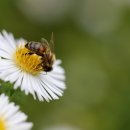 녹원명문한의원 이미지