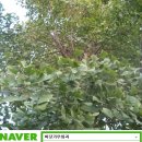 바닷가농원 이미지