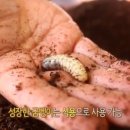 대박농장 이미지