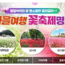 동백관광여행사 이미지