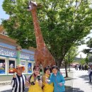 소풍(동행) 이미지