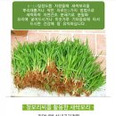 청맥농장 이미지