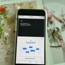 틱톡샵 | 틱톡 팔로워 구매 SNS샵 팔로워 늘리기 셀프 도약한 후기