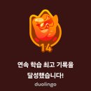 종로-종로-종로-종-153 | [4월] Hola yo soi HJ