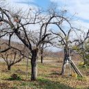 늘푸른유정란농장 이미지