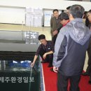 제주종합경기장 실내수영장 이미지