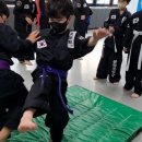 합기도·킥복싱·운정주짓수 이미지