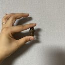 티렉스덴탈 이미지