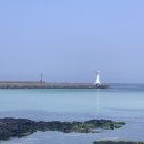 제주 바닷마을 다이어리 이미지