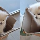 도동주민센터 이미지