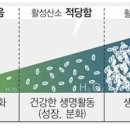 (주)활성 네이버블로그