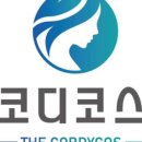 더코디셉 이미지