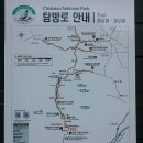 [2030산악회]7월7일(화) 평일에 쉬는분들 트레킹 하시러 가시지요!^^!치악산 구룡사 계곡길 이미지