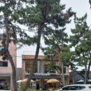 송정군식당 이미지