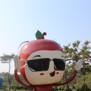 내고향사과쥬스