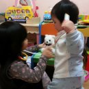 한얼동물병원 이미지