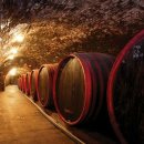 사교농장 이미지