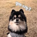 황토돌담집 | 애견동반 가능한 대천 단체펜션 :: 황토돌담집