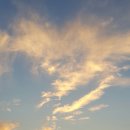 한그루게스트하우스 이미지