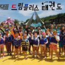 국가대표 드림플러스 태권도 이미지