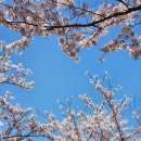 애월고등학교 이미지