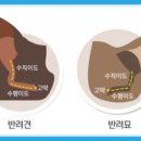 천호약국 이미지