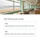 소나무브런치카페