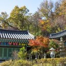 지장사 - 1600 | 지장사