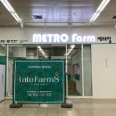 메트로 21(Metro 21) 이미지