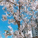 노블 치과의원 이미지