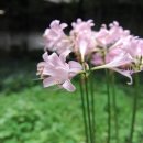 지하회관 이미지