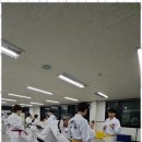 베테랑태권도 이미지