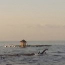 유강약국 이미지