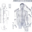 임맥과 독맥 혈자리 익히기 이미지