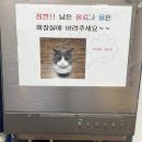 영도사 | #5 노량진 관리형 독서실 영독사 본관학원