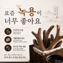 경희이매한의원 네이버블로그