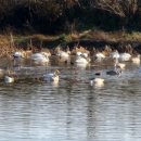 목교농장 이미지