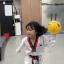 송정태권도체육관 이미지