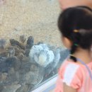 성국농장 이미지