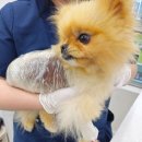 두카메디컬센터 이미지