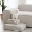 아마레펫 이미지