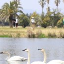 고니목장 이미지