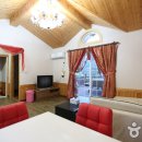 강가의 성 이미지