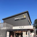 가평동물병원 | 서울 근교 동물원, 가평 아침고요가족동물원 19개월 아기와 다녀온 후기