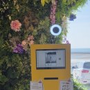 방포항 | 방포항 시온카페 후기 – 썰물과 바다 감성 한가득 ☕