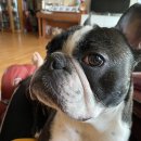 GS25 홍대몬스터점 이미지