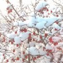 아리울농장 이미지