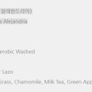 미카벨라 이미지